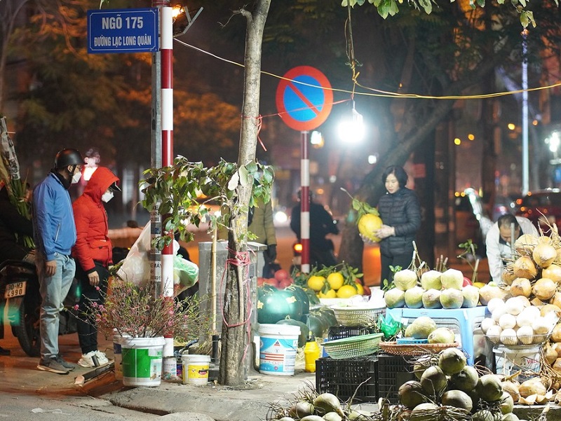 Chợ hoa đêm ở Hà Nội ngày tết nổi tiếng. Chợ hoa đêm Lạc Long Quân