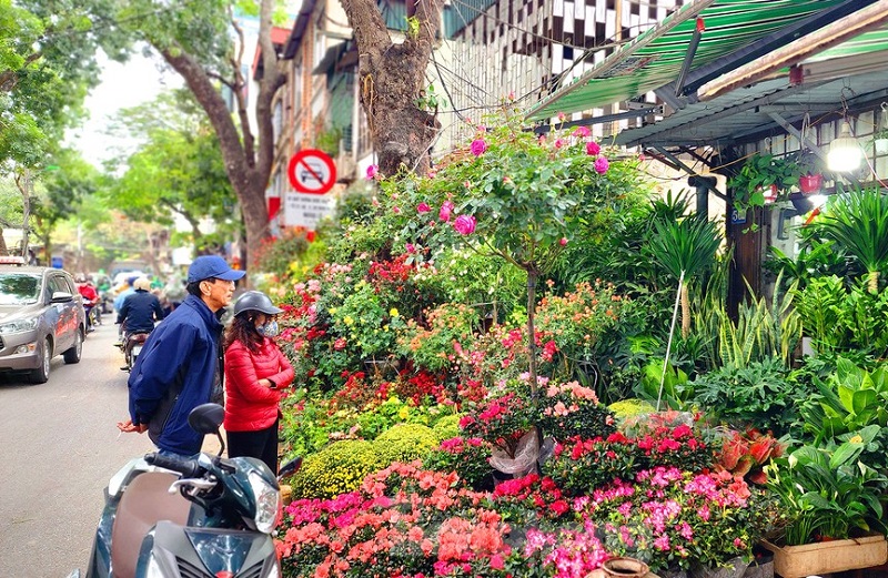 Chợ hoa đêm ở Hà Nội ngày tết nổi tiếng. Chợ hoa đường Hoàng Hoa Thám