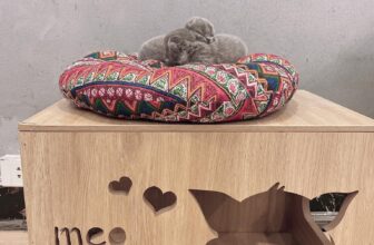 [☕️🇻🇳] 90’s Home – 100% Coffee bean, 100% Passion, Happy every day 🥤 Top1Coffee ☕️ Không gian cho các bạn nhỏ của 90s home
……………………………………………..
#90sHomecoffe #90sHome #cafe #coffee
#vintage #peace #dre , shares-0✔️ , likes-3❤️️ , date-2020-12-24 18:40:32🇻🇳🇻🇳🇻🇳📰🆕