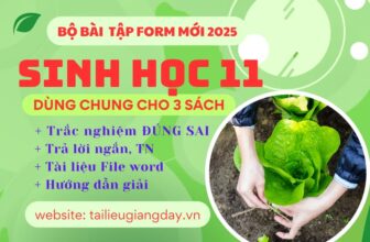[🆕🇻🇳] Tài Liệu Giảng Dạy – Chuyên đề, đề thi thử tốt nghiệp, giáo án, đề thi-kiểm tra 📚 Top1Learn 📕 GIỚI THIỆU ĐẾN QUÝ THẦY CÔ
BỘ BÀI TẬP SINH HỌC FORM MỚI 2025
Link xem, shares-0✔️ , likes-0❤️️ , date-2024-12-23 21:31:13🇻🇳🇻🇳🇻🇳📰🆕