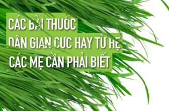 [???] Yoga Hương Sen  ? Top1Yoga ??‍♀️ Hồi đó giờ không biết là hẹ có nhiều công dụng hay vậy luôn các mẹ ạ. Có mẹ nào đã từng áp dụng chưa?
, shares-0✔️ , likes-1❤️️ , date-2021-03-10 13:13:52????????