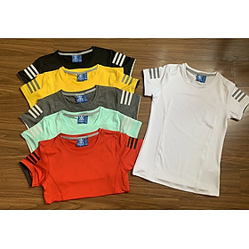 [🛒🇻🇳]ÁO THUN NỮ CỔ TRÒN TAY NGẮN ĐA NĂNG NEW- VẢI THUN LẠNH ÔM BODY CO GIÃN 4 CHIỀU – OEM , SKU – 2833149137449 – tiki.vn 🇻🇳🛒Top1Shop🛒 🇻🇳Top1Vietnam🇻🇳 🛍🛒🇻🇳