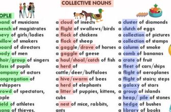 [🆕🇻🇳] English Kids 📚 Top1Learn 📕 Collective Nouns in English! :)
, shares-0✔️ , likes-0❤️️ , date-2024-12-20 05:00:07🇻🇳🇻🇳🇻🇳📰🆕