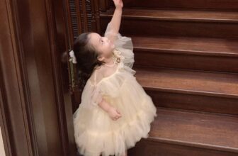 [🆕🇻🇳]  Váy Công Chúa – Miniberry  – Váy công chúa thiết kế chất liệu cao cấp, mềm mại cho bé gái 🧑‍🧒❤️️👶⭐️ Chiếc váy voan mềm màu kem vani mặc lên ngọt ngào sang chảnh đáng yêu lắm ạ
Đủ màu, Đủ #Size từ 8~40Kg (Size to đặt may 1-2 hôm có váy ạ)—————————
CAM KẾ , shares-0✔️ , likes-4❤️️ , date-2023-11-23 03:47:04🇻🇳🇻🇳🇻🇳📰🆕