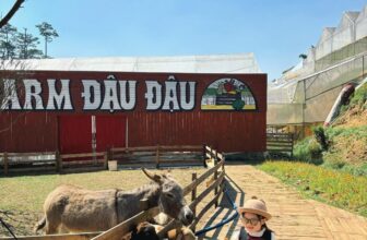 [🆕🇻🇳]  DA.dau babiess – Quần áo trẻ em 🧑‍🧒❤️️👶⭐️ Chút feedback nhẹ
, shares-0✔️ , likes-7❤️️ , date-2024-02-20 19:03:01🇻🇳🇻🇳🇻🇳📰🆕