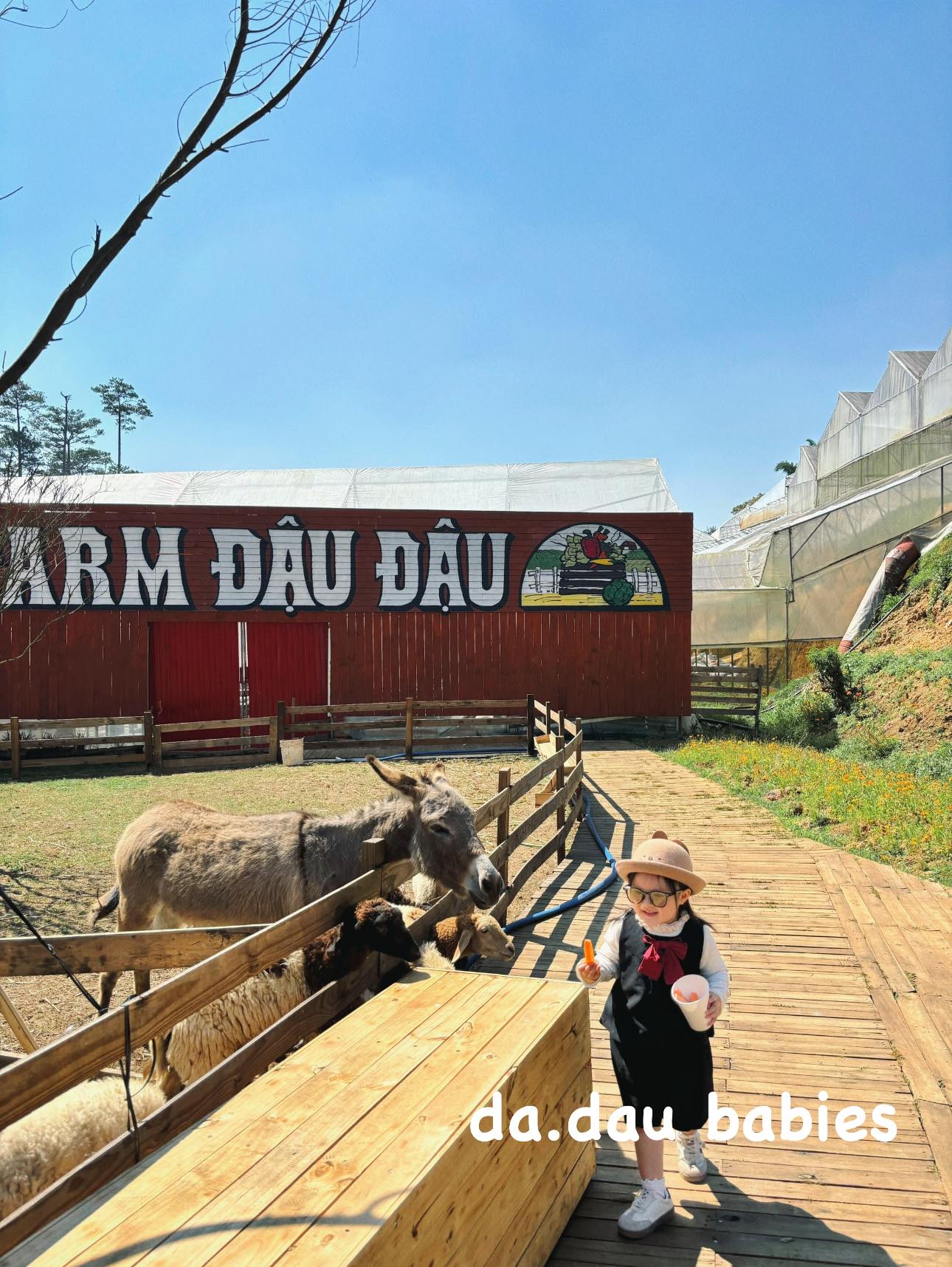 [🆕🇻🇳]  DA.dau babiess – Quần áo trẻ em 🧑‍🧒❤️️👶⭐️ Chút feedback nhẹ
, shares-0✔️ , likes-7❤️️ , date-2024-02-20 19:03:01🇻🇳🇻🇳🇻🇳📰🆕