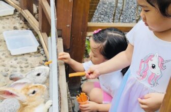 [🆕🇻🇳]  Kawaii Family & Kids Farm Cafe Thủ Đức – Nhà Hàng Cafe Gia Đình & Khu Vui Chơi Cho Bé 🧑‍🧒❤️️👶⭐️  99k/1 BÉ BẤT CHẤP CUỐI TUẦNHôm nay là ngày cuối cùng Kawaii sale shock ăn mừng ngày #Gia_đình_Việt_Nam.
Mặc kệ là ngày CN, Kawaii tiếp tục sale shoc , shares-0✔️ , likes-13❤️️ , date-2024-06-30 21:27:12🇻🇳🇻🇳🇻🇳📰🆕
