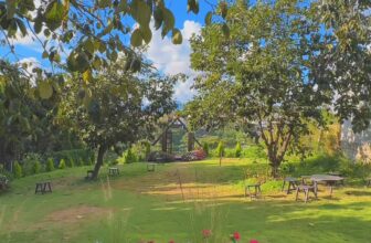 [☕️🇻🇳] Ngày của Nắng Coffee+ 🥤 Top1Coffee ☕️ Một buổi sáng trong lành ở Đà Lạt. #dalat #coffeedalat
, shares-0✔️ , likes-0❤️️ , date-2024-08-16 16:12:03🇻🇳🇻🇳🇻🇳📰🆕