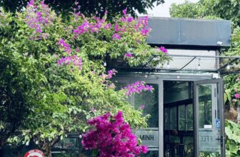 [☕️🇻🇳]  Minh Coffee 🥤 Top1Coffee ☕️ Mùa hè dường như đã trôi qua rất nhanh, để lại những khoảnh khắc sum vầy, nhẹ nhàng. Và mùa thu lại về, về với Quảng Bình thân y , shares-0✔️ , likes-24❤️️ , date-2024-09-10 01:06:47🇻🇳🇻🇳🇻🇳📰🆕