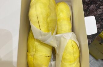 [🆕🇻🇳] Thế Giới Sầu Riêng – Cung Cấp Các Loại Sầu Riêng Chín Cây Sạch 100% organic 🍔 Top1Food  🍜  ƯU ĐÃI CUỐI CHIỀU NAY
SALE #125k/0,5kg Cơm Sầu Thái Monthong chín cây  cơm khô ráo mềm béo ngậy dẻo
Freeship miễn phí ship nội thành TpHcmShop còn mấy  , shares-1✔️ , likes-24❤️️ , date-2024-09-16 22:52:36🇻🇳🇻🇳🇻🇳📰🆕