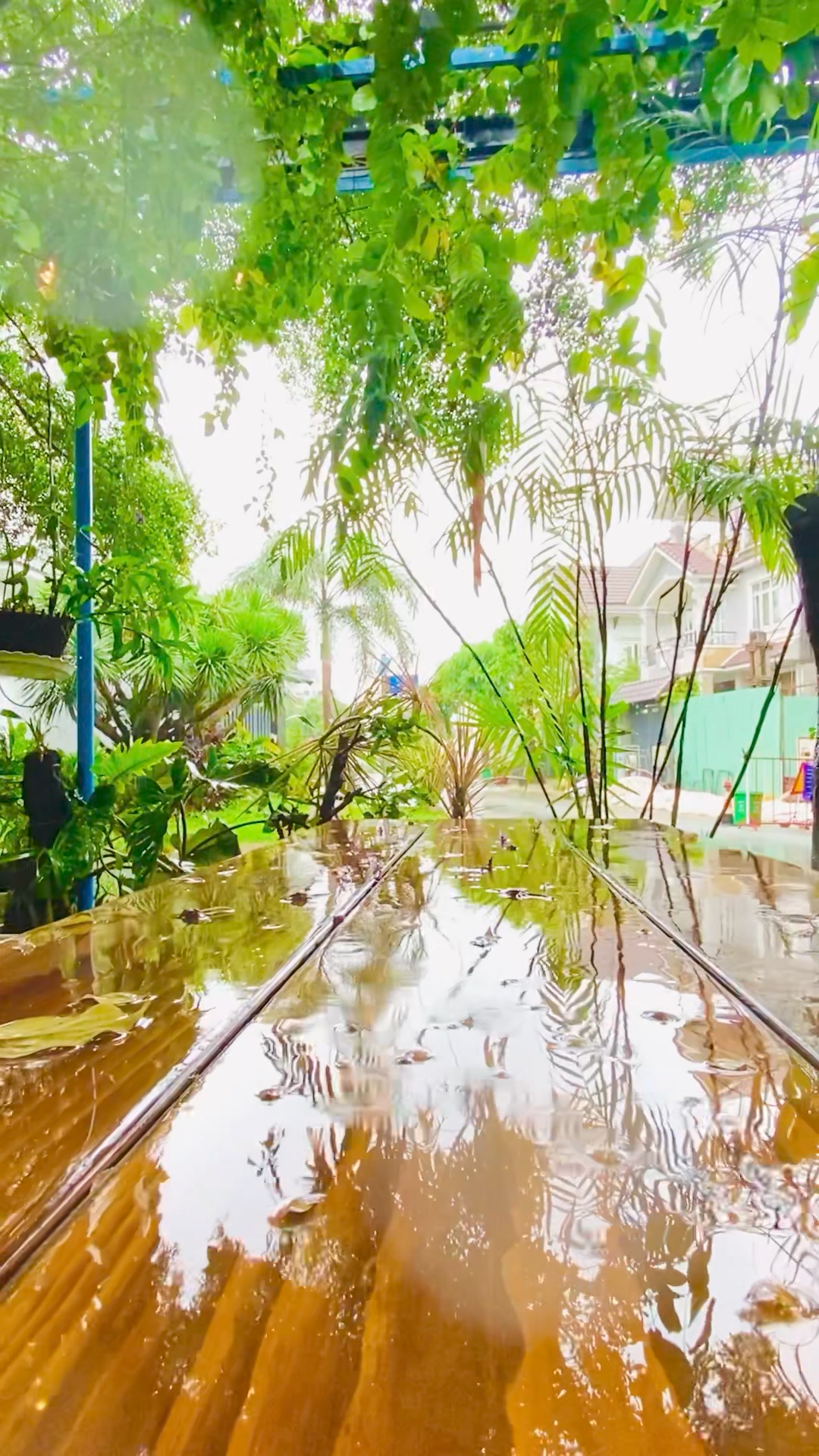 [☕️🇻🇳] KUMO CHAN Coffee and Garden 🥤 Top1Coffee ☕️  , shares-0✔️ , likes-3❤️️ , date-2024-09-26 21:06:42🇻🇳🇻🇳🇻🇳📰🆕