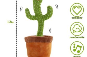 [🆕🇻🇳]  MẸ BEER- Phụ kiện cho bé 🧑‍🧒❤️️👶⭐️ Cây xương rồng nhảy múa
, shares-0✔️ , likes-1❤️️ , date-2024-09-27 23:54:32🇻🇳🇻🇳🇻🇳📰🆕