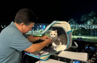 [☕️🇻🇳] 1988 Coffee – Bar 🥤 Top1Coffee ☕️ Những vị khách đặc biệt tại 1988
——
𝟏𝟗𝟖𝟖 𝐂𝐎𝐅𝐅𝐄𝐄 & 𝐁𝐀𝐑
1988 building, BT 01 KDC Hòn Cặp Bè, Bạch Đằng, TP Hạ Long.
H , shares-0✔️ , likes-8❤️️ , date-2024-10-04 02:34:02🇻🇳🇻🇳🇻🇳📰🆕