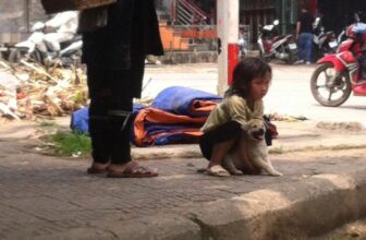 [🆕🇻🇳] Yêu Thú Cưng 🐶🦜 Top1Pets 🐱🐠 “Em bé vùng cao theo mẹ đi bán cún con. Em ko nỡ xa người bạn nhỏ của mình. Mỗi lần khách mua trả ko đc giá  và bỏ đi là 1 lần em bé sung sướng, thích thú. , shares-38✔️ , likes-701❤️️ , date-2016-05-04 04:45:18🐶🐱🇻🇳🇻🇳🇻🇳📰🆕