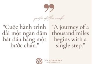 [🏙🇻🇳] G9 Homestay – Your second home 🏙️ Top1Land 🏠  , shares-0✔️ , likes-3❤️️ , date-2024-10-12 04:00:20🇻🇳🇻🇳🇻🇳📰🆕