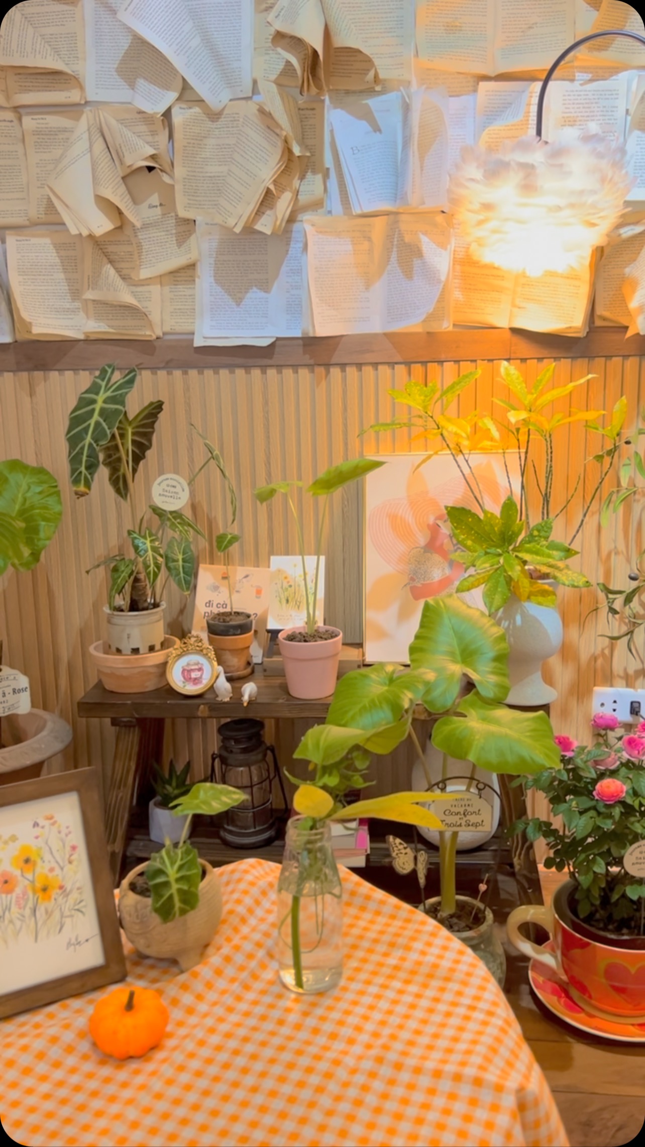 [☕️🇻🇳] Charm Coffee 🥤 Top1Coffee ☕️ Charm Coffee CS1: Ngõ 20 Láng Hạ, 
 Charm Coffee CS2 : 61 Hoàng Cầu, Đống Đa,HN
 Opening hours: 07 am- 22h00 pm
  Hotline : 097. , shares-0✔️ , likes-0❤️️ , date-2024-10-09 22:41:49🇻🇳🇻🇳🇻🇳📰🆕