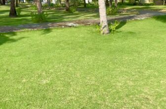 [🏝️🇻🇳] Celina Peninsula Resort Quang Binh  🏝️ Top1Resort 🏖️ Bỗng một ngày muốn tìm chút bình yên
Giữa cái tấp nập triền miên nơi phố thị
Celina một ngày nắng ấm cuối tuần
————————
ĐẶT DỊCH VỤ TẠI… , shares-0✔️ , likes-0❤️️ , date-2024-10-26 14:59:26🇻🇳🇻🇳🇻🇳📰🆕