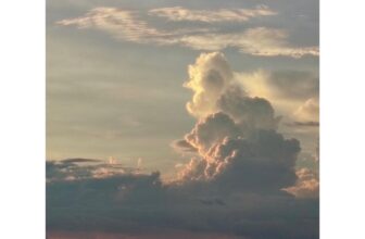 [☕️🇻🇳] Phen’s Coffee 🥤 Top1Coffee ☕️ Phen về chiều
Thật yên bình, thật nhẹ nhàng và thật chân thành
Ps: Hình yêu thương chụp và tặng Nhà Phen  cảm ơn yêu thương  , shares-1✔️ , likes-10❤️️ , date-2024-10-30 01:01:16🇻🇳🇻🇳🇻🇳📰🆕