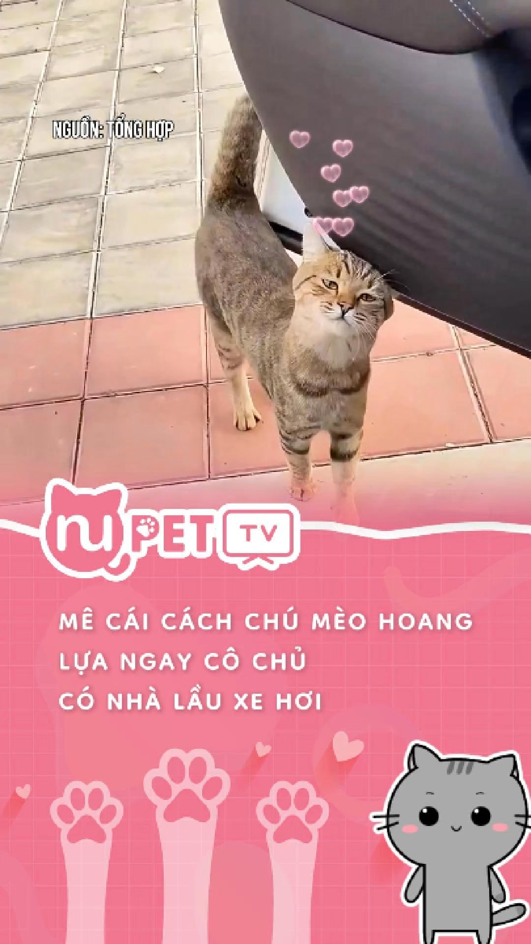 Bé khôn quá
#nupet