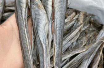 [🆕🇻🇳] Đặc Sản Vùng Quê – Thực phẩm & Đồ uống 🍔 Top1Food  🍜 Khô cá kèo size đại 10/12con/lạng hàng e bao khô bao lạt
sỉ zalo 0908299155 giá tốt nhất
, shares-1✔️ , likes-4❤️️ , date-2024-10-31 19:14:18🇻🇳🇻🇳🇻🇳📰🆕