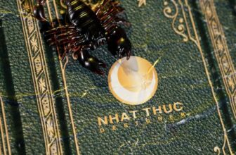 [🆕🇻🇳] Nhật Thực (Thực Tuti) 😎❤️️⭐️ Top1Kids 😎❤️️⭐️ Happy Halloween
#ntknhatthuc
#nhatthucstudio
#happyacademy
#cogcinegraph
, shares-0✔️ , likes-29❤️️ , date-2024-10-31 16:24:07🇻🇳🇻🇳🇻🇳📰🆕