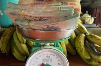 [🆕🇻🇳] Xưởng May Bánh Bao Kids – Cửa hàng quần áo sơ sinh & trẻ em 🧑‍🧒❤️️👶⭐️ may mắn sẽ đến với bạn khi thảbức ảnh này
MONG!!
MONG trời Thu biếc mãi dịu êm
MONG hoa khoe sắc nở bên thềm
MONG nắng xua tan ngày giông bão
MONG bình min , shares-0✔️ , likes-47❤️️ , date-2024-11-03 05:00:25🇻🇳🇻🇳🇻🇳📰🆕