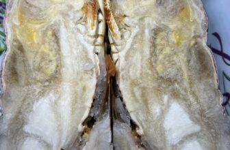 [🆕🇻🇳] TÔM HÙM KHÁNH HOÀ – Chuyên sỉ lẻ, tôm hùm sống, tôm hùm ngộp, tôm hùm cấp đông, số lượng lớn 🍔 Top1Food  🍜 Tôm hùm cấp đông  Loại B hàng RS
Giá xả kho.  16x sẳn kho 10 tấn
Size: 500gr-700gr
Size 700gr-1000up
Size 1000up
LH; 0366508943
, shares-0✔️ , likes-2❤️️ , date-2024-11-09 16:58:12🇻🇳🇻🇳🇻🇳📰🆕