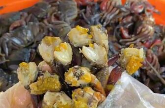 [🆕🇻🇳] BÀ NA FOOD – ĐẶC SẢN CÀ MAU 🍔 Top1Food 🍜 Ba khía Rạch Gốc Cà Mau thơm ngon xuất sắc #bakhia #mambakhia #bakhiarachgoc
, shares-1✔️ , likes-26❤️️ , date-2024-11-05 17:37:12🇻🇳🇻🇳🇻🇳📰🆕