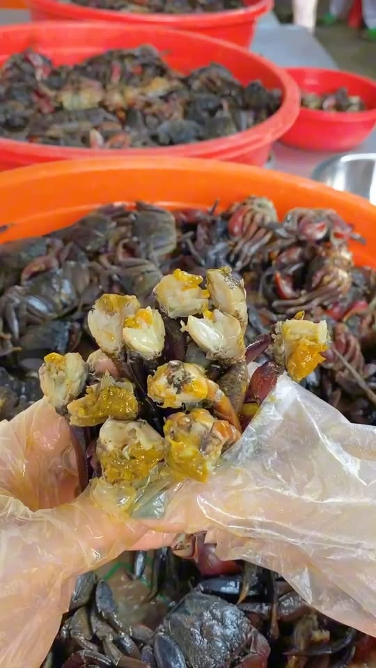 Ba khía Rạch Gốc Cà Mau thơm ngon xuất sắc #bakhia #mambakhia #bakhiarachgoc