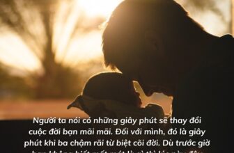 [🆕🇻🇳] Mê Đọc Sách – Trang sách mở ra, trời xa xích lại  📚 Top1Book 📖 Người ta nói có những giây phút sẽ thay đổi cuộc đời bạn mãi mãi. Đối với mình, đó là giây phút khi ba chậm rãi từ biệt cõi đời. Dù trước giờ bạn không biế , shares-2✔️ , likes-36❤️️ , date-2024-11-09 03:37:03🇻🇳🇻🇳🇻🇳📰🆕📚