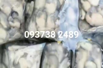 [🆕🇻🇳] Chả Cá Nha Trang sỉ lẻ sll 🍔 Top1Food  🍜 HÀU SỮA NGON NHỨT NÁCH Ạ
ZALO 093738 2489
, shares-0✔️ , likes-4❤️️ , date-2024-11-04 23:37:36🇻🇳🇻🇳🇻🇳📰🆕