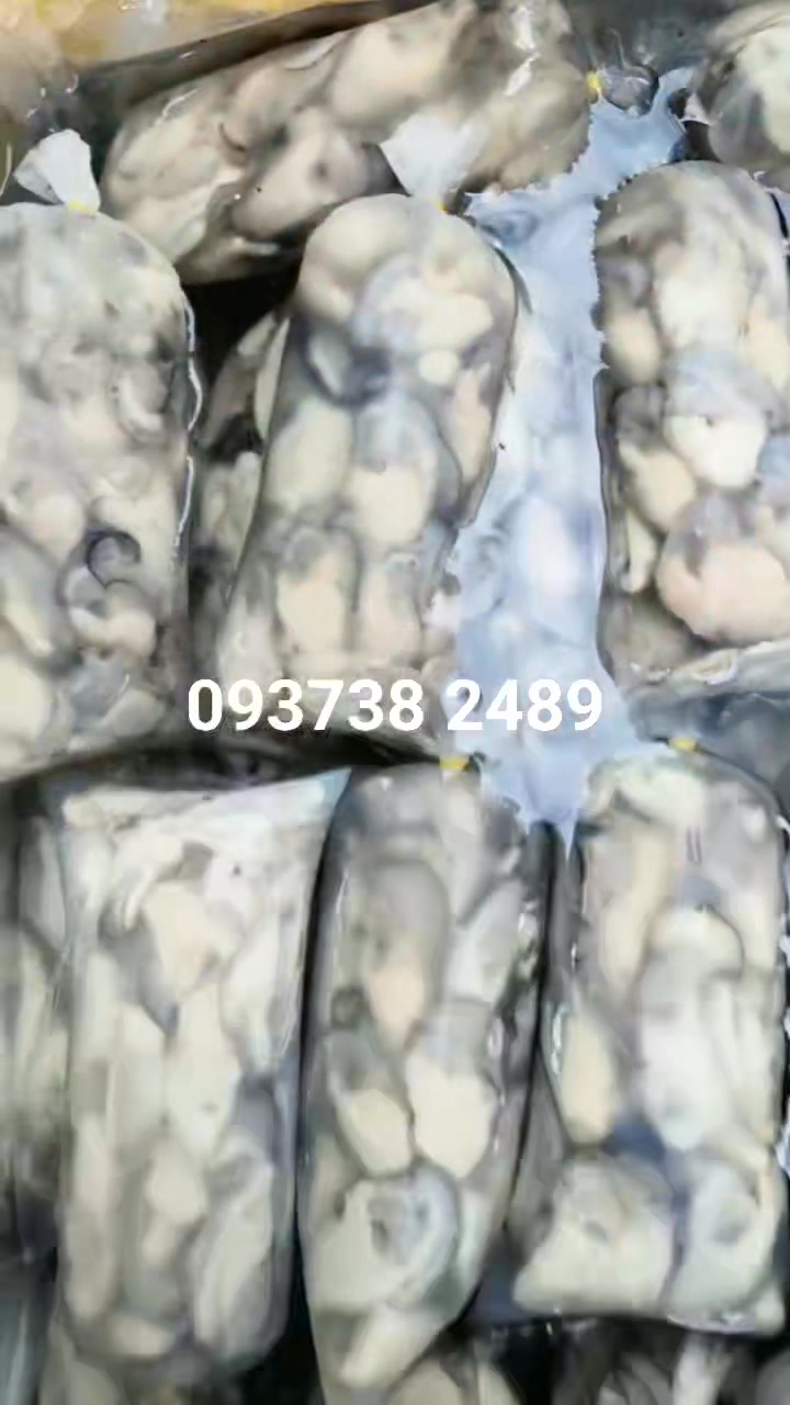 [🆕🇻🇳] Chả Cá Nha Trang sỉ lẻ sll 🍔 Top1Food  🍜 HÀU SỮA NGON NHỨT NÁCH Ạ
ZALO 093738 2489
 , shares-0✔️ , likes-4❤️️ , date-2024-11-04 23:37:36🇻🇳🇻🇳🇻🇳📰🆕