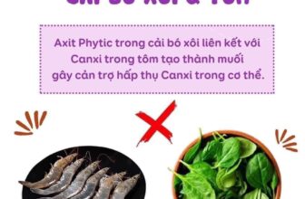 [🆕🇻🇳] Nhím Nhím – Ăn Dặm Mẹ Nhím 🧑‍🧒❤️️👶⭐️ Những Cặp Thực Phẩm Kị Nhau
Mẹ lưu về tham khảo cho bé nha
, shares-16✔️ , likes-5❤️️ , date-2024-11-11 04:18:03🇻🇳🇻🇳🇻🇳📰🆕