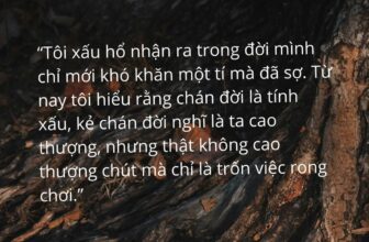 [🆕🇻🇳] Mê Đọc Sách – Trang sách mở ra, trời xa xích lại  📚 Top1Book 📖 “Tôi xấu hổ nhận ra trong đời mình chỉ mới khó khăn một tí mà đã sợ. Từ nay tôi hiểu rằng chán đời là tính xấu, kẻ chán đời nghĩ là ta cao thượng, nhưng th , shares-15✔️ , likes-93❤️️ , date-2024-11-08 20:23:03🇻🇳🇻🇳🇻🇳📰🆕📚
