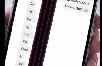 [???] HEBE YOGA – Hebeyoga.com – Chuyên cung cấp sỉ và lẻ các sản phẩm dụng cụ yoga chất lượng ? Top1Yoga ??‍♀️ Mấy chị đừng đùa , cỡ nào em cũng tiếp được.
——————————-
#yoga #thamyoga #thamtapyoga #sale #11thang11
, shares-0✔️ , likes-0❤️️ , date-2024-11-07 19:33:40????????