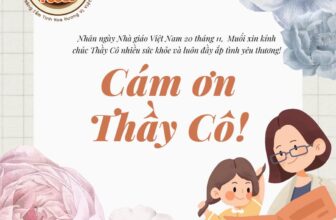 [🆕🇻🇳] Muối Ớt Siêu Ngon 🍔 Top1Food 🍜  , shares-0✔️ , likes-8❤️️ , date-2024-11-20 19:42:57🇻🇳🇻🇳🇻🇳📰🆕