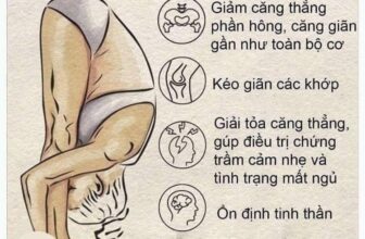 [🆕🇻🇳] Yoga Gò Vấp – Vì sức khỏe và sắc đẹp của bạn!  🧘 Top1Yoga 🤸🏻‍♀️ Nếu là người mới bạn nhớ co nhẹ gối lại nha, và giữ tư thế trong 1 vài hơi thở để cảm nhận nè
#Yoga #YogaGovap #yogacoban #yogagiamcan #GiảmCân #peyoga
, shares-0✔️ , likes-2❤️️ , date-2024-11-20 14:38:33🇻🇳🇻🇳🇻🇳📰🆕