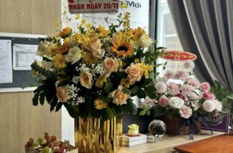 [🆕🇻🇳] Yoga Sức Sống Mới 🧘 Top1Yoga 🧘 Luôn xúc động trước tấm chân tình của các Cô, Các chị trong suốt hành trình làm người truyền lửa Yoga.Biết ơn sự tri ân ngày Hiến chương Nhà giáo Việt N , shares-0✔️ , likes-46❤️️ , date-2024-11-21 02:41:05🇻🇳🇻🇳🇻🇳📰🆕