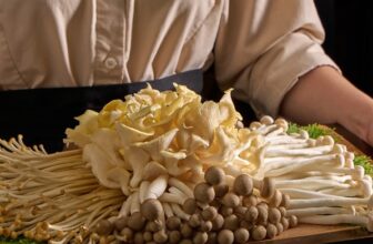 [🆕🇻🇳] ASHIMA MUSHROOM HOTPOT là chuỗi nhà hàng LẨU NẤM THIÊN NHIÊN 🍔 Top1Food 🍜  , shares-1✔️ , likes-8❤️️ , date-2024-11-22 23:00:09🇻🇳🇻🇳🇻🇳📰🆕