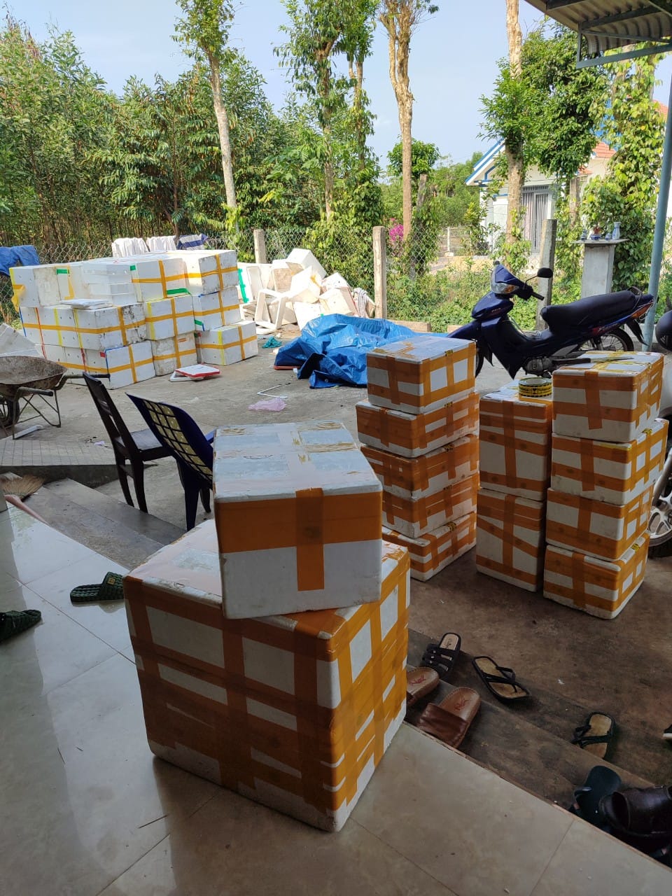 [🆕🇻🇳] Sỉ và lẻ bánh tráng cuộn tép chà bông  🍔 Top1Food  🍜 mưa gió bão nắng gì shop vẫn đi đơn đều nhé khách iu..hàng giòn tan đóng thùng xốp ko lo bể vỡ nhé
 , shares-0✔️ , likes-0❤️️ , date-2024-11-25 15:55:25🇻🇳🇻🇳🇻🇳📰🆕