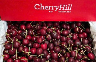 [🆕🇻🇳] F5 Fruit Shop Hồ Chí Minh-hệ thống bán lẻ Trái cây Nhập khẩu cao cấp 🍔 Top1Food  🍜 𝐂𝐇𝐄𝐑𝐑𝐘 𝐔́𝐂 HILL 𝐒𝐈𝐙𝐄 𝟐𝟔
1⃣ 2⃣ 5⃣ k/ hộp 250gr
Trái đẹp mã, ngọt lịm, cuống xanh um.
Hàng bay mới về, số lượng có hạn.
Vị ngọt ngọ , shares-0✔️ , likes-1❤️️ , date-2024-11-29 14:45:54🇻🇳🇻🇳🇻🇳📰🆕