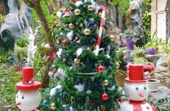 [☕️🇻🇳] Cà phê Ngọc Hà- Cafe sân vườn 🥤 Top1Coffee ☕️   Mùa Giáng Sinh lại về, hãy chào đón một mùa giáng sinh an lành, hạnh phúc, ấm áp bên những người thân yêu
Hãy cùng đến cà phê , shares-0✔️ , likes-3❤️️ , date-2024-11-29 23:13:48🇻🇳🇻🇳🇻🇳📰🆕