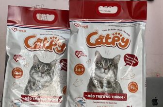 [🆕🇻🇳] FamiPet – Siêu Thị Cho Thú Cưng 🐶🦜 Top1Pets 🐱🐠 𝑯𝒂̣𝒕 𝑪𝒂𝒕𝒑𝒚- 𝑻𝒉𝒖̛́𝒄 𝒂̆𝒏 𝒉𝒐𝒂̀𝒏 𝒄𝒉𝒊̉𝒏𝒉 𝒄𝒉𝒐 𝒎𝒆̀𝒐 𝒕𝒓𝒖̛𝒐̛̉𝒏𝒈 𝒕𝒉𝒂̀𝒏𝒉
Với công thức cân đối từ Cá Trích và Thịt Gà cao cấp là nguyên liệu dồi dào cung cấp Omega 3, , shares-0✔️ , likes-0❤️️ , date-2024-12-01 21:49:23🐶🐱🇻🇳🇻🇳🇻🇳📰🆕