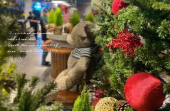 [☕️🇻🇳] AHA Cafe 🥤 Top1Coffee ☕️ Giáng sinh đến rất gần rồi bạn ơi!!Cảm nhận rõ nhất chắc là qua cái khí lạnh của mấy hôm nay nhỉ.
Aha Sầm Sơn có không gian n , shares-0✔️ , likes-6❤️️ , date-2024-12-01 14:56:33🇻🇳🇻🇳🇻🇳📰🆕