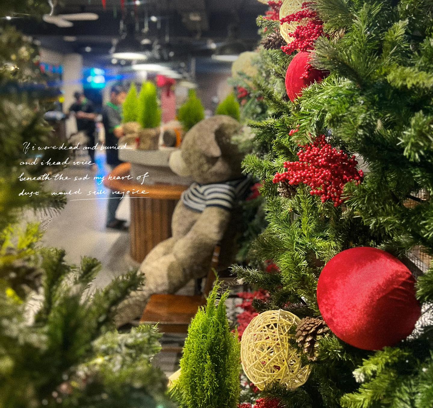 [☕️🇻🇳] AHA Cafe 🥤 Top1Coffee ☕️ Giáng sinh đến rất gần rồi bạn ơi!!Cảm nhận rõ nhất chắc là qua cái khí lạnh của mấy hôm nay nhỉ.
Aha Sầm Sơn có không gian n , shares-0✔️ , likes-6❤️️ , date-2024-12-01 14:56:33🇻🇳🇻🇳🇻🇳📰🆕