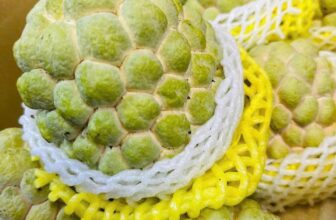 [🆕🇻🇳] Paul’s Healthy Fruits – Cửa hàng rau quả 🍔 Top1Food  🍜 SUPER VIP / NA BỞ ĐÀI LOAN Hàng bay mới đáp phục vụ khách yêu . Hàng về đc ít thùng. Nhanh tay kẻo hết cả nhà ơi
, shares-0✔️ , likes-4❤️️ , date-2024-12-01 22:22:29🇻🇳🇻🇳🇻🇳📰🆕