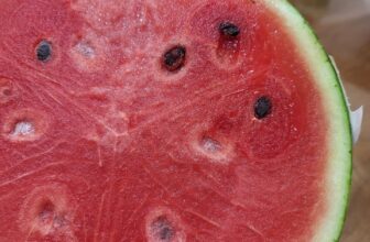 [🆕🇻🇳] Chio shop – Cửa hàng rau quả 🍔 Top1Food  🍜 Dưa hấu Organic e về tiếp ạ, vỏ mỏng, ngọt lịm, siêu ngon30k/kg
, shares-0✔️ , likes-0❤️️ , date-2024-12-01 18:13:18🇻🇳🇻🇳🇻🇳📰🆕