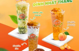 [🆕🇻🇳] Trà đào dầm Peach City – THƯƠNG HIỆU TRÀ ĐÀO DẦM SỐ 1 VIỆT NAM 🍔 Top1Food  🍜  , shares-0✔️ , likes-5❤️️ , date-2024-12-01 16:00:06🇻🇳🇻🇳🇻🇳📰🆕