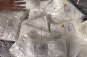 [🆕🇻🇳]  Chuyên Sỉ Lẻ Quần Áo Trẻ Em Cao Cấp 🧑‍🧒❤️️👶⭐️ Video liên quan
, shares-0✔️ , likes-1❤️️ , date-2024-12-02 04:58:32🇻🇳🇻🇳🇻🇳📰🆕