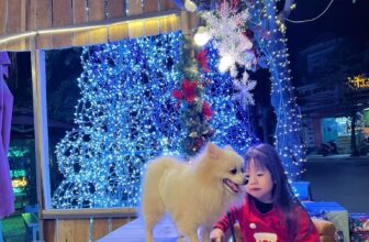 [🆕🇻🇳]  M’ Huong Baby – Cửa hàng quần áo sơ sinh & trẻ em 🧑‍🧒❤️️👶⭐️ Tặng con một kỳ Giáng Sinh ý nghĩa với bộ áo len Ông già Noel của M’ HuongCon sẽ thoải mái tối đa với chất liệu vải 95% PolyesterCon được an toàn tuyệt , shares-0✔️ , likes-0❤️️ , date-2024-12-02 16:04:05🇻🇳🇻🇳🇻🇳📰🆕